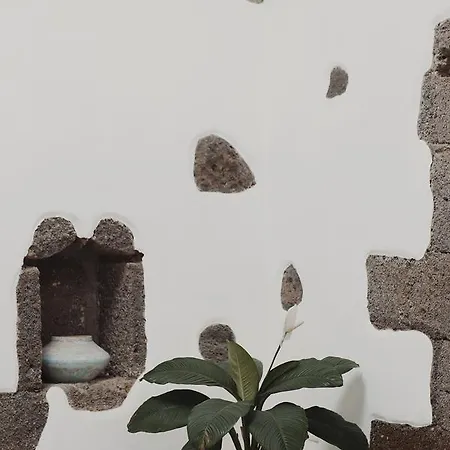 Hotelito Rural Flor De Timanfaya * Tinajo