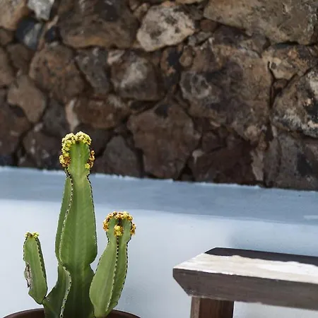 Hotelito Rural Flor De Timanfaya Venkovský dům *