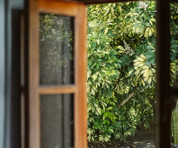 Hotelito Rural Flor De Timanfaya * 蒂纳霍